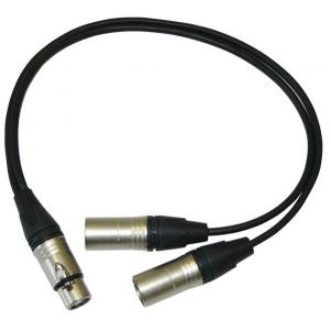 XLR Audio Cable