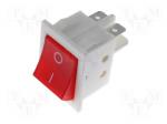 Rocker Switch
