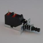 Push Switch
