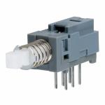 Push Switch 2P2T
