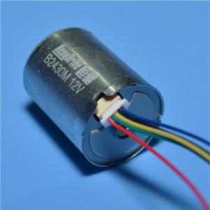 Φ24mm/L:30.8mm & DC Brushless Motors