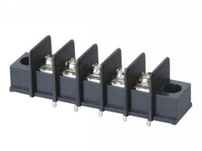 7.62mm with Mount Hole Barrier PCB Terminal Block
